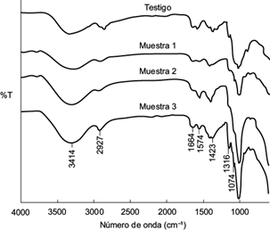 Espectros de las muestras de biomasa fúngica (muestra del ensayo
								1, muestra del ensayo 2, muestra del ensayo 3 (ver Cuadro I) y testigo (quitosán
								de Sigma-Aldrich) obtenidos por espectrometría infrarroja por
								transformada de Fourier