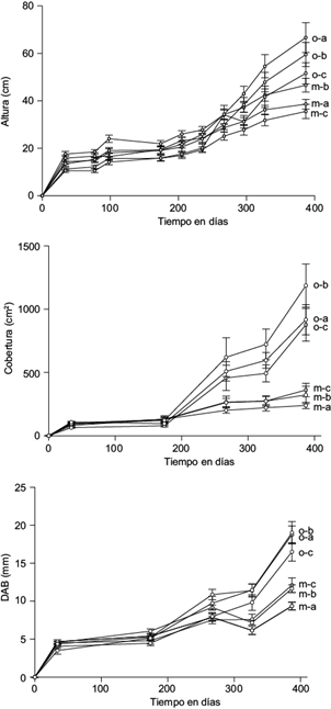 Respuesta a lo largo del tiempo en altura, cobertura y di&aacute;metro a la
							altura de la base (DAB) de las plantas de Fraxinus
								uhdei inoculadas con Laccaria laccata, en
							los dos sustratos (o = org&aacute;nico; m = minero) y las dos dosis de
							inoculaci&oacute;n (a = 1 &times; 106 esporas/planta; b = 2.5 &times;
								105 esporas/planta)