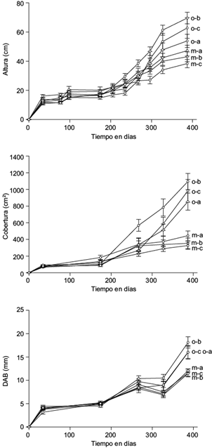 Respuesta a lo largo del tiempo en altura, cobertura y di&aacute;metro a la
							altura de la base (DAB) de las plantas de Fraxinus
								uhdei inoculadas con Lactarius deliciosus,
							en los dos sustratos (o = org&aacute;nico; m = minero) y las dos dosis de
							inoculaci&oacute;n (a = 1 &times; 106 esporas/planta; b = 2.5 &times;
								105 esporas/planta)