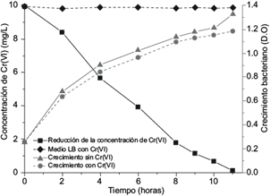 Cin&eacute;tica de crecimiento y reducci&oacute;n de la concentraci&oacute;n de Cr(VI)
								en horas (h) de la cepa CrLIM26, mediante densidad &oacute;ptica
								(D.O.)