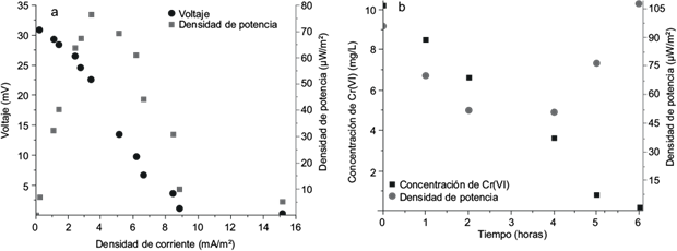 Curva de polarizaci&oacute;n y de densidad de corriente m&aacute;xima obtenida
								para la cepa CrLIM26 en las celdas de combustible microbianas (CCM)
								en ausencia de Cr(VI) (a), reducci&oacute;n de la concentraci&oacute;n de Cr(VI) y
								densidad de corriente generadas en las CCM en presencia de cromo (b)
								medido a trav&eacute;s del tiempo en horas (h)