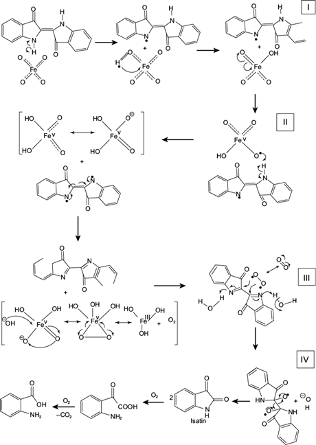 Mechanism of indigo blue removal