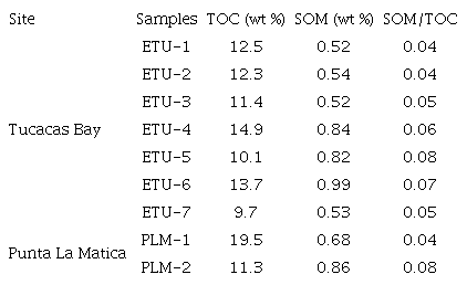 TOTAL ORGANIC CARBON (TOC wt %), SOLUBLE ORGANIC MATTER (SOM wt %)
							AND SOM/TOC RATIO