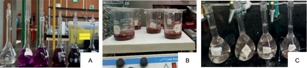 (a) Curva de calibraci&oacute;n, (b) muestras en el transcurso de la
								prueba y (c) muestras listas para ser le&iacute;das en el
								espectrofot&oacute;metro