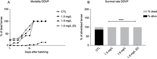 Larvae mortality after exposure to dichlorvos. (a) Percentage of
								dead larvae through days after hatching at different dichlorvos
								concentrations (mg/L). (b) Rate of dead vs alive in percentage at
								different dichlorvos concentrations (mg/L). X2 (3, 8) =
								333.5, **** p < 0.0001. CTL: control, DDVP: dichlorvos, (D):
								depurated.