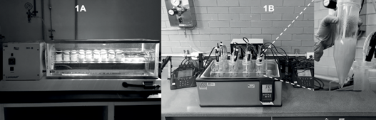 Equipment used to measure oral bioaccessibility: (1A) End-over-end shaker NOM-147 method (gastric phase) and (1B) GSRSB-PBET method (gastric and intestinal phases).