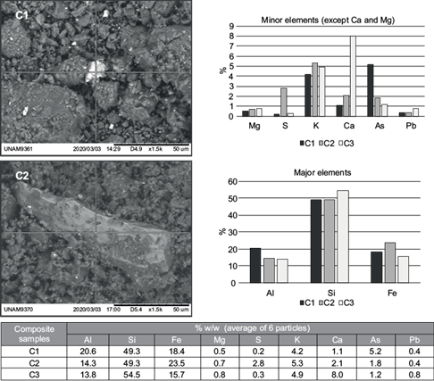 Average composition of particles of the composites. C1 and C2 micrographs are shown.