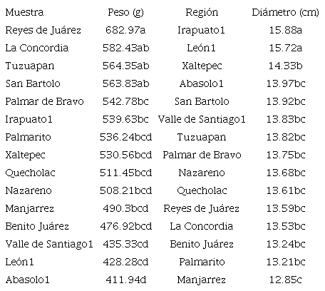PESO Y DIÁMETRO PROMEDIO DE CABEZUELAS DE BRÓCOLI DE LAS DOS REGIONES ESTUDIADAS (GUANAJUATO Y PUEBLA).