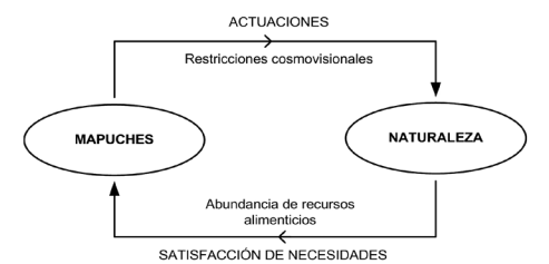 Esquema del acoplamiento estructural de los mapuches con su territorio. Se consideran como factores determinantes el desarrollo un territorio rico en recursos y actuaciones humanas realizadas en funci&oacute;n a fuerzas conductoras de orden natural y social, basadas en referentes cosmovisionales.