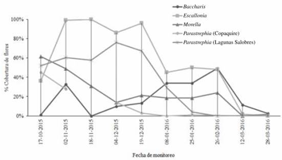 Fenología de floración de las distintas especies monitoreadas.