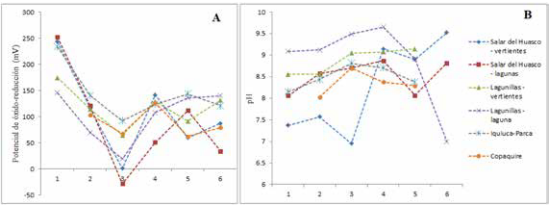 Fluctuaciones en el pH (A) y en el potencial de óxido-reducción (B) durante las seis primeras campañas del observatorio, separadas por tipo de ambiente.