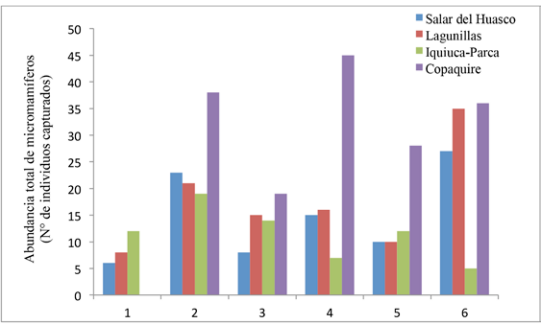 Fluctuaciones en la abundancia de micromamíferos durante las seis primeras campañas del observatorio en cada humedal monitoreado. El humedal de Copaquire comenzó a ser monitoreado desde la segunda campaña.