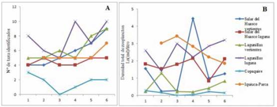 Fluctuaciones en la riqueza y abundancia de zooplancton (expresadas como A: N° de taxa identificados, y B: Densidad total de zooplancton, respectivamente) durante las seis primeras campañas del observatorio, separadas por tipo de ambiente.