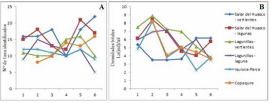 Fluctuaciones en la riqueza y abundancia de fitoplancton (expresadas como A: N° de taxa identificados, y B: Densidad total de fitoplancton, respectivamente) durante las seis primeras campañas del Observatorio, separadas por tipo de ambiente.