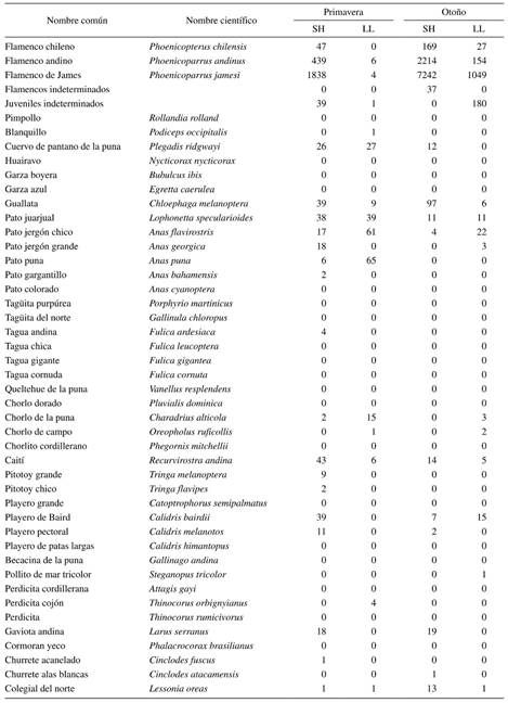 Total de individuos contabilizados en las seis primeras campañas del observatorio. Se muestran las sumas de las tres campañas de primavera y las tres de otoño, separadas por humedal (SH = salar del Huasco; LL = laguna Lagunillas) y por especie.