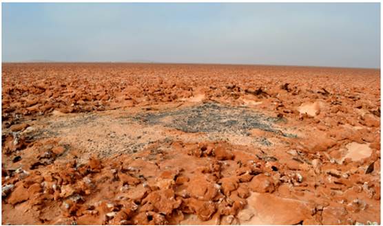 a. Mina de carbón en bosque de tamarngos sector Llamara. b. Vista del bosque más antiguo de Llamara con evidencia de minas de carbón. 