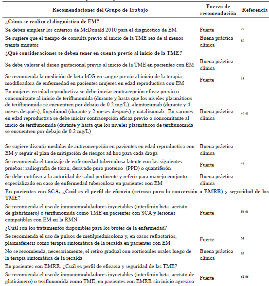 Recomendaciones del Grupo de Trabajo.