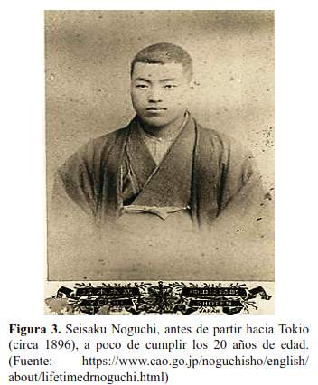 Figura 3.
