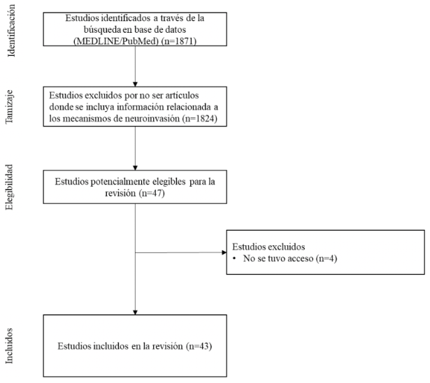 Figura 1. Diagrama de flujo del proceso de identificación y selección de artículos