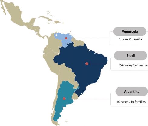 Casos reportados de DRD en Latinoam�rica. Solamente se identificaron reportes de casos publicados de DRD en tres pa�ses.
