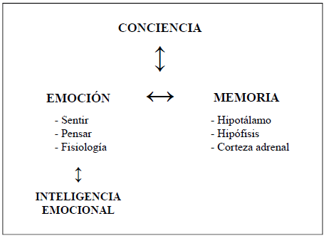 La emocionalidad humana