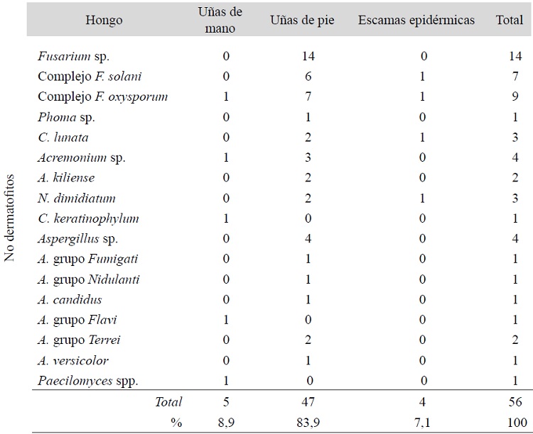 LOCALIZACI&Oacute;N DE LAS MICOSIS SUPERFICIALES CAUSADAS POR LEVADURAS Y HONGOS NO DERMATOFITOS