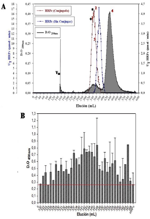 A) Elution profile consensus at 280 nm and 414 nm corresponding to the separation of HRPc-rK346 conjugates by SEC (Sepharose S-200). Conjugation was performed with GA 1.25%. Profiles at 414 nm shown in red and blue correspond to the determination of EA of the conjugated and non-conjugated HRPc respectively. Asterisks indicate the two peaks with HRPc activity measured at 414 nm (1 and 2). Maximal absorbance at 280 nm (3 and 4) were was also determined. B) Direct ELISA corresponding to fractions with the greatest conjugated-HRPc activity. The SD for two replicates is shown as well as the basal detection limit (red line). 