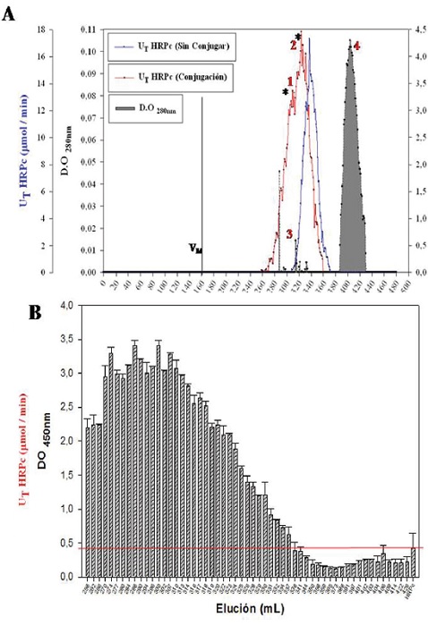 A) Elution profile consensus at 280 nm and 414 nm corresponding to the separation of HRPC-rK346 conjugates by SEC (Sepharose S-200). Conjugation was performed with SATA (sulfhydryl-adding reagent) and sulfo-SMCC (conjugation reagent). Profiles at 414 nm shown in red and blue correspond to the determination of EA of the conjugated and non-conjugated HRPc respectively. Asterisks indicate the two peaks with HRPc activity measured at 414 nm (1 and 2). Absorbance maxima at 280 nm (3 and 4) were also determined. B) Direct ELISA corresponding to fractions with the greatest conjugated-HRPc activity. The SD for two replicates is shown as well as the basal detection limit (red line).