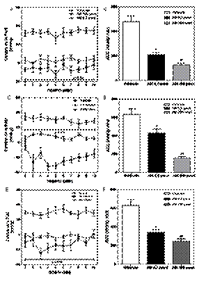Efecto de la administraci&oacute;n in situ de AM en el vermis de cerebelo de ratas SD, (A,B) WKY (C,D) y SHR (E,F) sometidas a estr&eacute;s por EEP sobre la PAM. Los resultados se expresan como la media &plusmn; E.E.M. del cambio de PAM (Panel Izquierdo). Se determin&oacute; el &aacute;rea bajo la curva (AUC) del cambio de la PAM para cada tratamiento (Panel Derecho). Los resultados se expresan como la media &plusmn; E.E.M. de la AUC (N=10). *p<0,05 vs. veh&iacute;culo. #p<0,05 vs. AM 0,2 pmol.