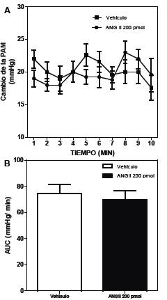 Efecto de la administraci&oacute;n in situ de ANG II en el vermis de cerebelo de ratas SHR sometidas a estr&eacute;s por EEP sobre la PA. Se determin&oacute; la PAM basal y se administr&oacute; ANG II (200 pmol/5μL) o veh&iacute;culo en ratas canuladas en el vermis de cerebelo, se someti&oacute; a las ratas a EEP durante 4 min y se determin&oacute; la PAM (durante 10min). Los resultados se expresan como la media &plusmn; E.E.M. del cambio de PAM (Panel A). Se determin&oacute; el &aacute;rea bajo la curva (AUC) del cambio de la PAM para cada tratamiento (Panel B). Los resultados se expresan como la media &plusmn; E.E.M. de la AUC (N=10).