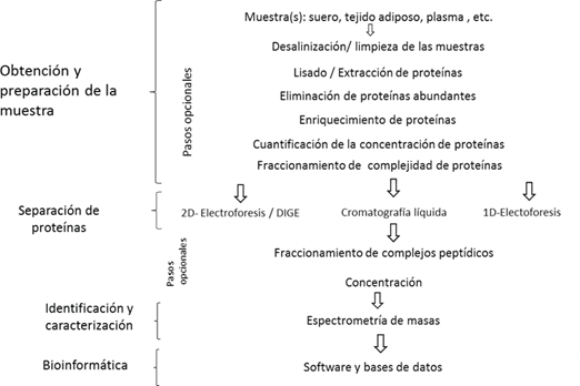 Esquemarepresentativo de los principales pasos para desarrollar un estudio prote&oacute;mico desde la preparaci&oacute;n de la muestra, hasta el an&aacute;lisis bioinform&aacute;tico de los resultados obtenidos.