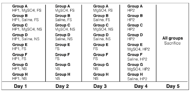 Experimental design. HP1: baseline thermal nociception measurement; MgSO4: injection with magnesium sulfate; FS: forced swim; Saline: injection with normal saline; NS: non-stressed animals; HP2: second thermal nociception measurement. Groups A, B, C, and D belonged to the preemptive scheme; groups E, F, G and H belonged to the therapeutic scheme. On day 1, HP1 was performed one hour before MgSO4 injection for groups A and C, 1 hour before saline injection for groups B and D, and two hours before the first swim session for groups E and F. On days 2 and 3, MgSO4 and saline were injected one hour before FS for groups A and B, respectively. On day 4, HP2 was performed one hour after MgSO4 injection for groups E and G, and one hour after saline injection for groups F and H. All animals were sacrificed on day 5.