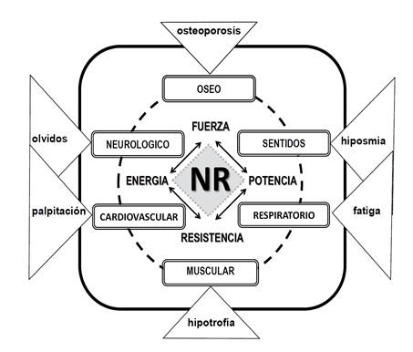 Aspectos clinicos del envejecimiento. Alteraciones (tri&aacute;ngulos) de la homeostasia (l&iacute;nea continua), debido al envejecimiento (circulo a trazos) de los sistemas corporales (rect&aacute;ngulos). Moduladores del movimiento humano (flechas negras), susceptibles de neurorehabilitaci&oacute;n (NR).