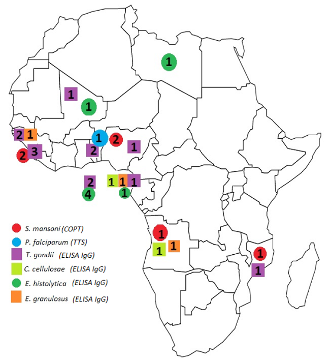 Number of positive individuals using the confirmatory tests according to their country of origin. (Note: countries and/or diseases without positive cases using the confirmatory tests were excluded from the figure).