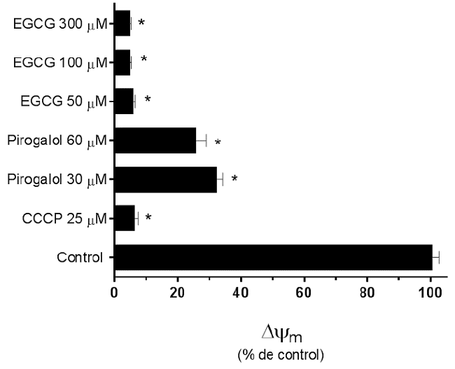 Efecto de distintos agentes sobre ΔΨm en plaquetas lavadas. Se muestra el efecto de EGCG, pirogalol y CCCP (control de disipación) sobre el ΔΨm. Cada barra es representativa de tres experimentos realizados por triplicado. P<0,05 al ser comparados por análisis de variancia utilizando el software GrahpadPrism®.