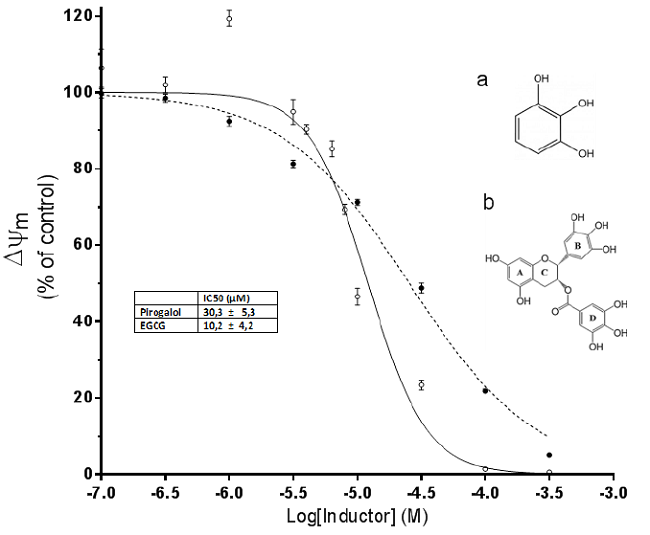 Relación dosis-respuesta del EGCG y el pirogalol sobre el ΔΨm en plaquetas. ΔΨm de EGCG (círculos llenos) y pirogalol (círculos vacíos). Cada punto representa datos provenientes de tres experimentos realizados por triplicado. Adicionalmente se muestran las estructuras del pirogalol (a) y EGCG (b). Para detalles estructurales: Mitsuhashi y col. (30).