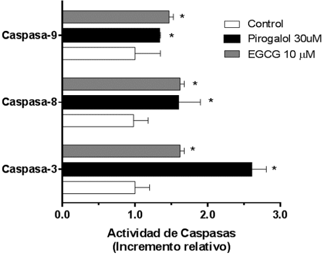 Activación de las caspasas 3, 8 y 9 por EGCG y pirogalol en plaquetas lavadas. Las plaquetas lavadas se incubaron en ausencia (control) o presencia de pirogalol 30 µM o EGCG 10 µM por 1 hora a 37?C. La comparación por la prueba de Kruskall-Wallis arrojó diferencias significativas (P< 0,05) en los grupos de tratamiento con respecto al control.