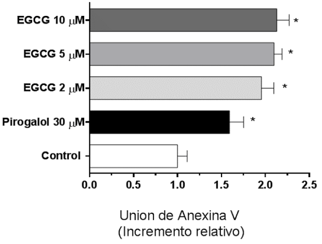 Unión de Anexina V en plaquetas lavadas. Se muestra el efecto de concentraciones crecientes de EGCG sobre unión de anexina; se utilizó pirogalol como control positivo. La comparación por la prueba de KruskallWallis arrojó diferencias significativas (P< 0,05) en los grupos con tratamiento en relación al control.