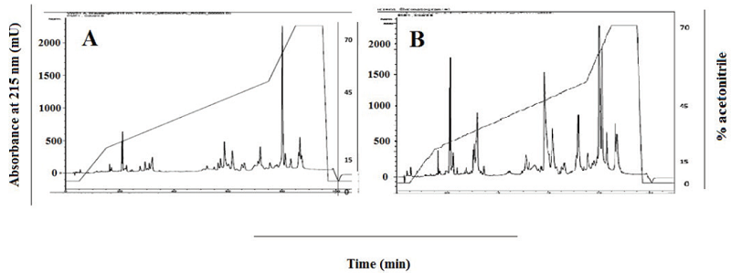 Chromatograms of Porthidium l. rozei (A) and P. lansbergii hutmanni (B) venoms (0.34 mg) comparison by Simmetry&reg; C-18 column by reverse phase high resolution liquid chromatography. Elution: Buffer B: 0-70% in 94 min. Existence of several forms and quantities of proteins in both subspecies has stimulated considerations as possible functional venom differences among them.