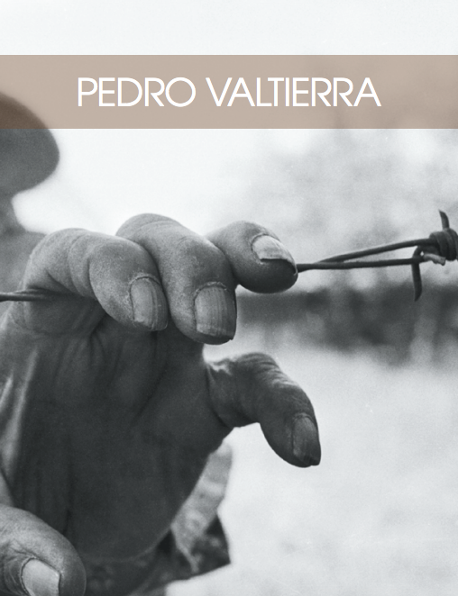 Refugiados guatemaltecos. 1982.