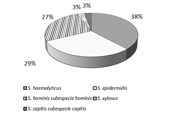 Frecuencia de aislamiento de las distintas especies de Staphylococcus coagulasa negativa (n=34)