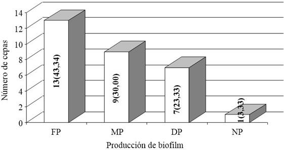 Producci&oacute;n de biofilm en S. aureus. M&eacute;todo cuantitativo sobre microplacas de cultivo celular FP: Fuertes productoras DP: D&eacute;biles productoras MP: Moderadas productoras NP: No productoras