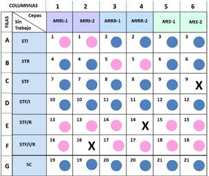 Comportamiento de las cepas estudiadas ante las drogas isoniacida, rifampicina y fluconazol