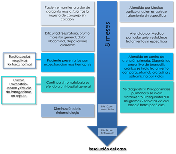 Desarrollo de los acontecimientos (Timeline)