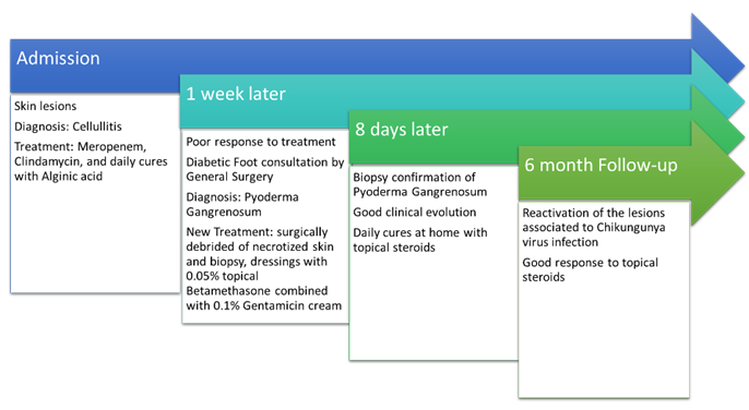 Timeline describing evolution of the skin lesions
