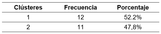 Frecuencia y porcentajes de los perfiles de profesionales de FUNDOWN