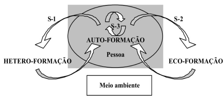 Representa��o tripolar da autoforma��o