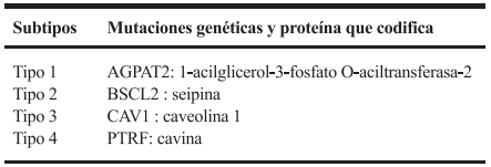 Subtipos de lipodosofia cpng&eacute;nita generalizada y sus mutaciones gen&eacute;ticas.