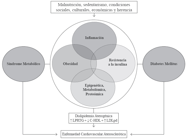 Génesis de la dislipidemia aterogénica