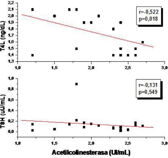 -Correlaciones de la acetilcolinesterasa (UC/μL) con la TSH (uU/mL) y la T4L (ng/dL) en todas las ratas